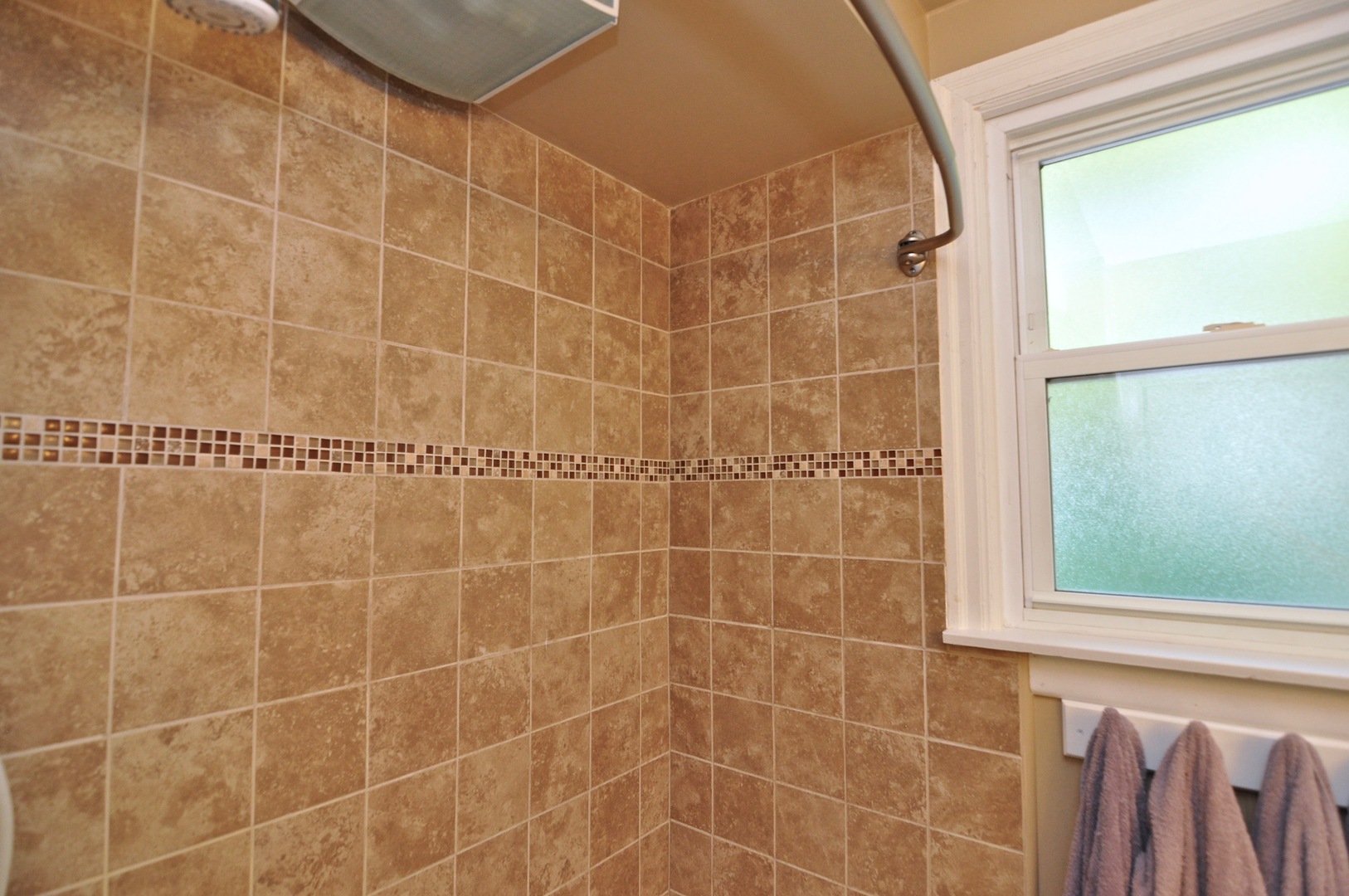 16053 Owens Road Hinckley, IL 60520 - Photo 51 of 68 a bathroom with a shower