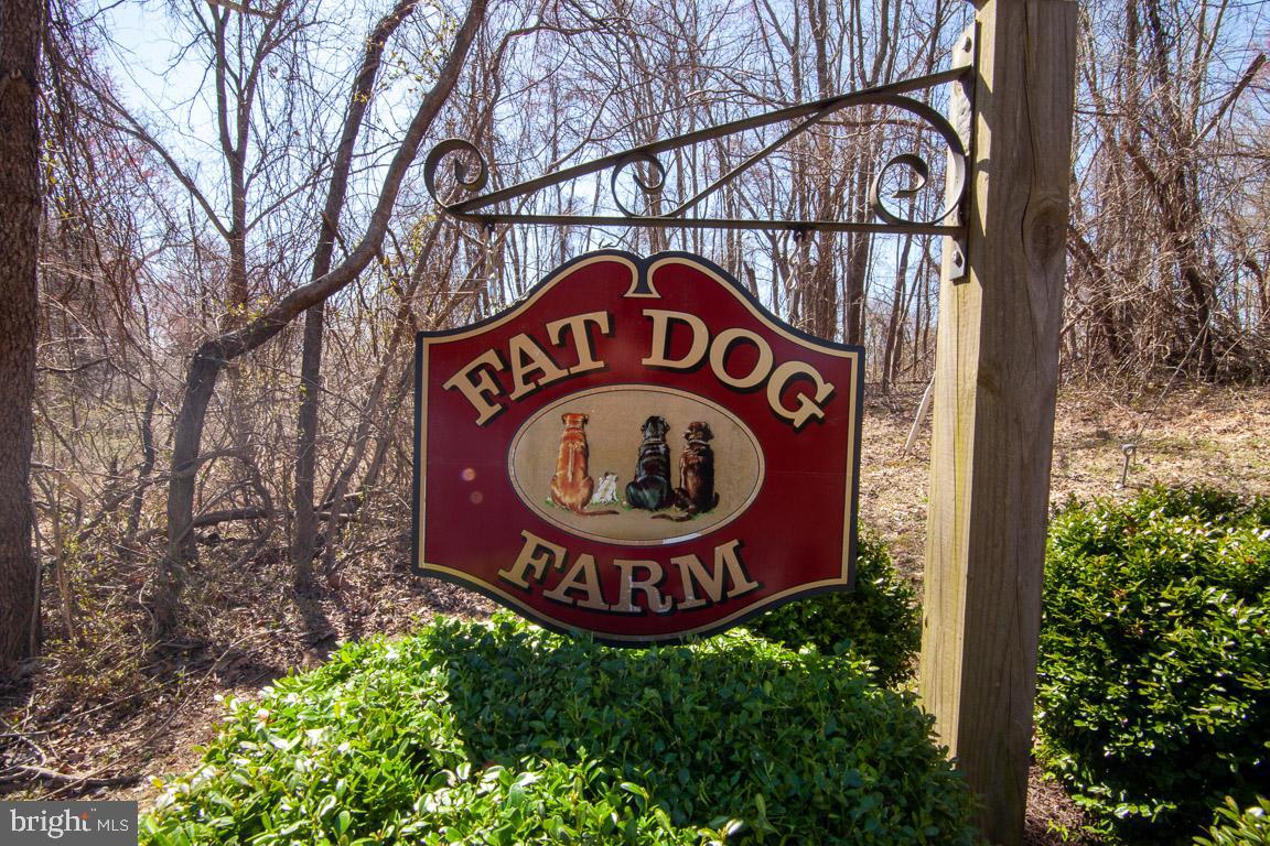 4361 High Ridge Road Haymarket, VA 20169 - Photo 41 of 51 Gallery Image 41