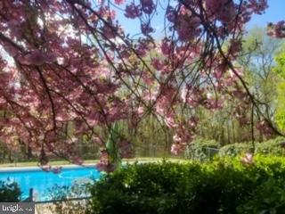 4361 High Ridge Road Haymarket, VA 20169 - Photo 47 of 51 Gallery Image 47