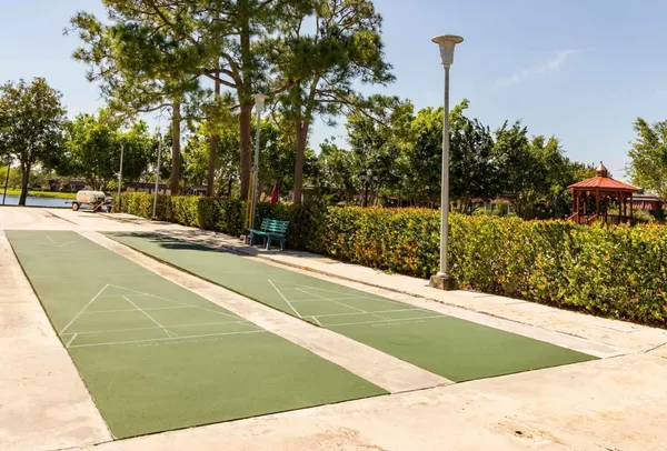 a view of a basket ball ground