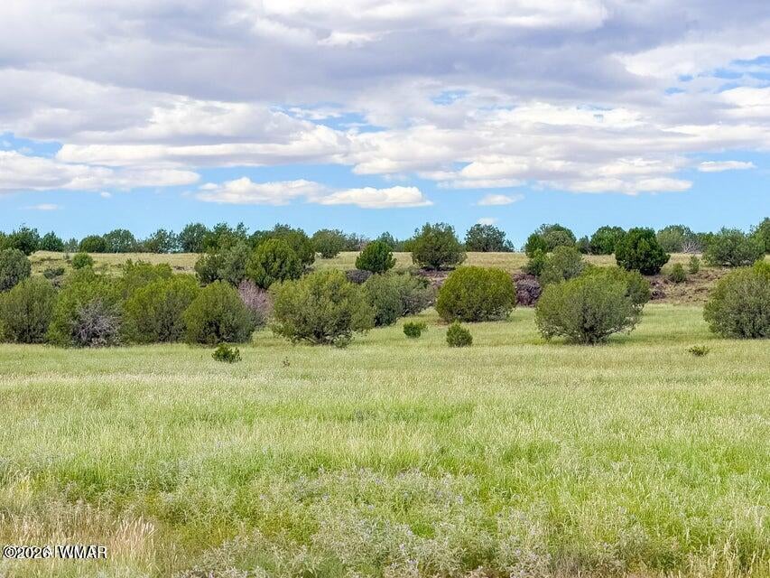 215 Gleed Station Road Ash Fork, AZ 86320 - Photo 5 of 16 Gallery Image 5