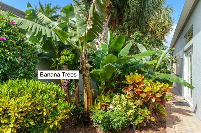 a sign that is sitting in the tree