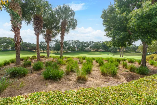 a view of a park with large trees