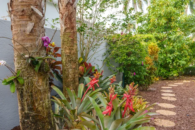 a backyard of a house with lots of green space