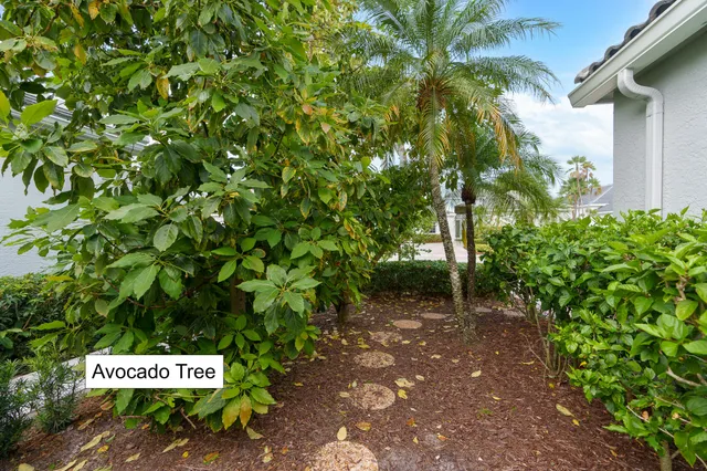 a view of a lake with a mountain