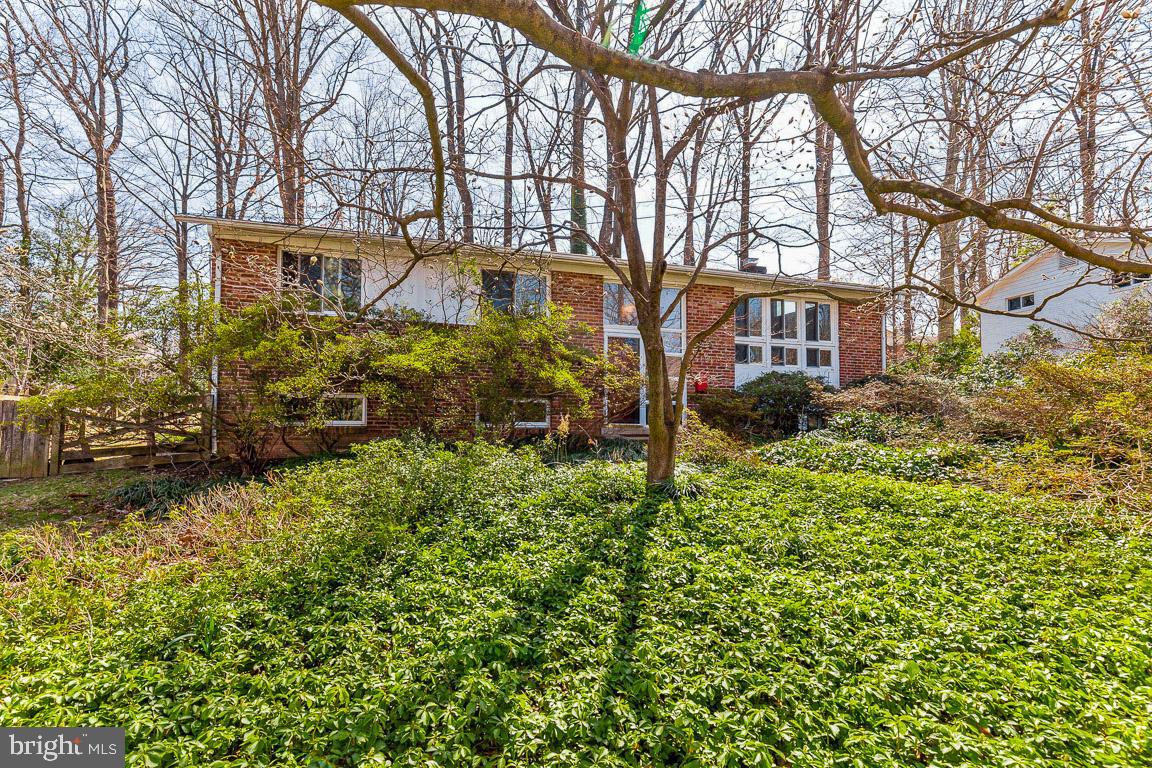 8628 Cromwell Drive Springfield, VA 22151 - Photo 1 of 30 Gallery Image 1