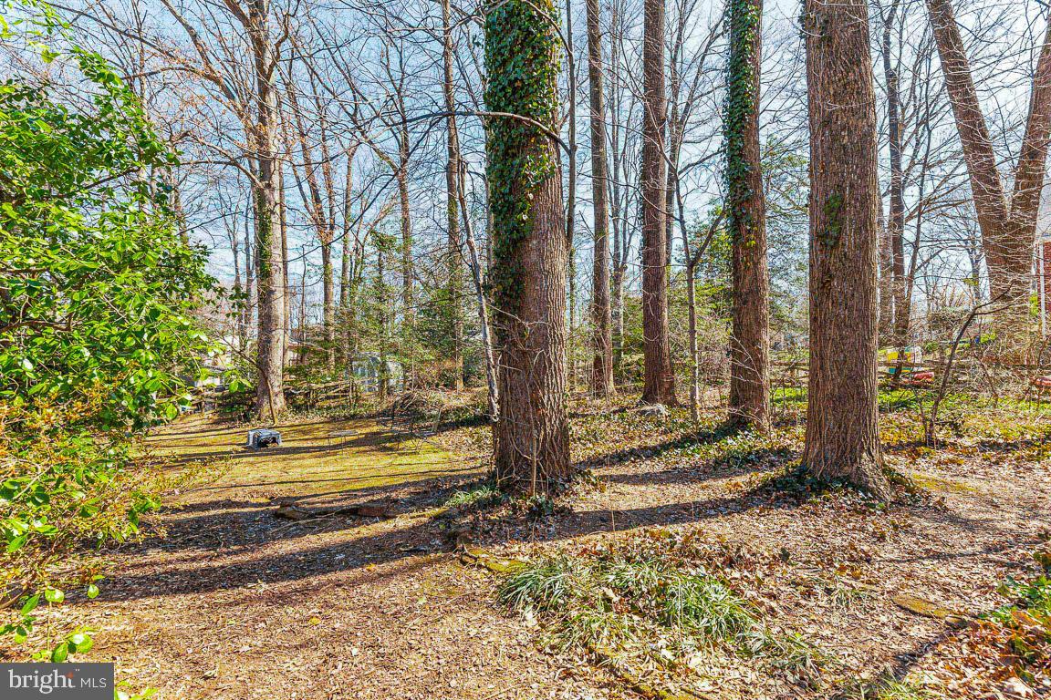 8628 Cromwell Drive Springfield, VA 22151 - Photo 30 of 30 Gallery Image 30