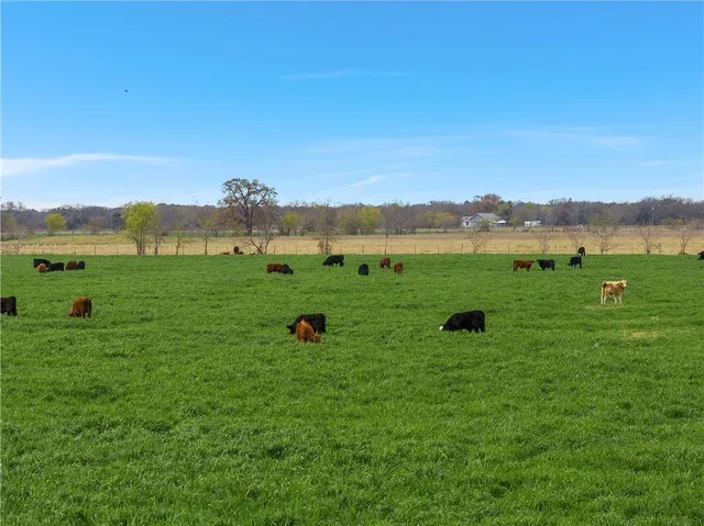 a view of a green field with an ocean view