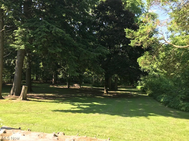 1283 Center Road Clinton, OH 44216 - Photo 4 of 33 VIEW FROM BACK OF HOUSE