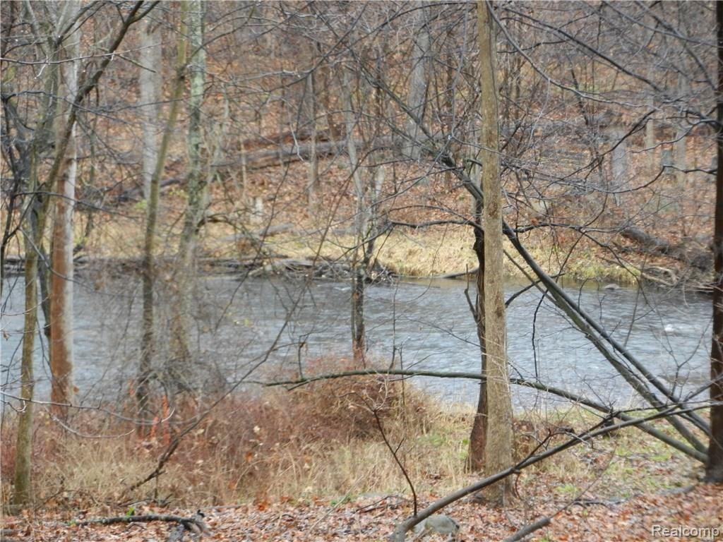 3706 Heron Ridge Drive Rochester Hills, MI 48309 - Photo 8 of 45