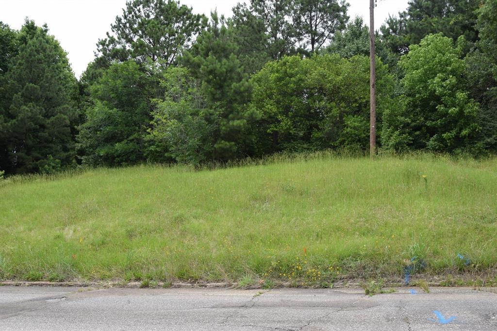 a view of a green yard