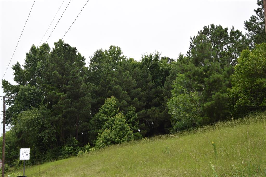 1 Main Street Minden, LA 71055 - Photo 2 of 6 a backyard of a house with lots of green space