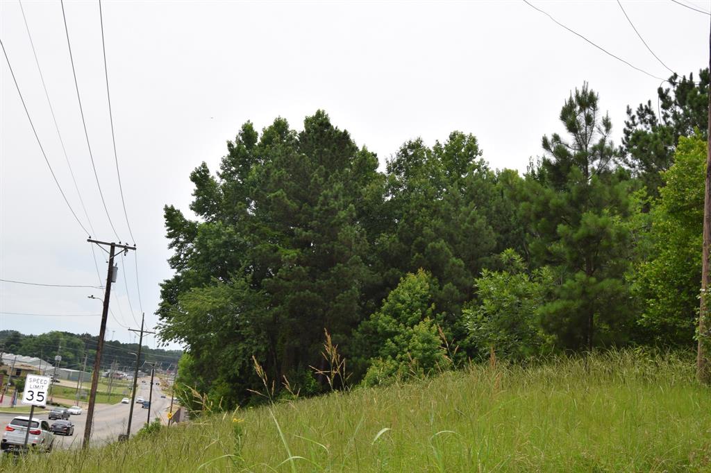 1 Main Street Minden, LA 71055 - Photo 4 of 6 a view of lake background