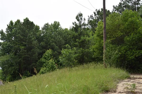 a view of a lush green space