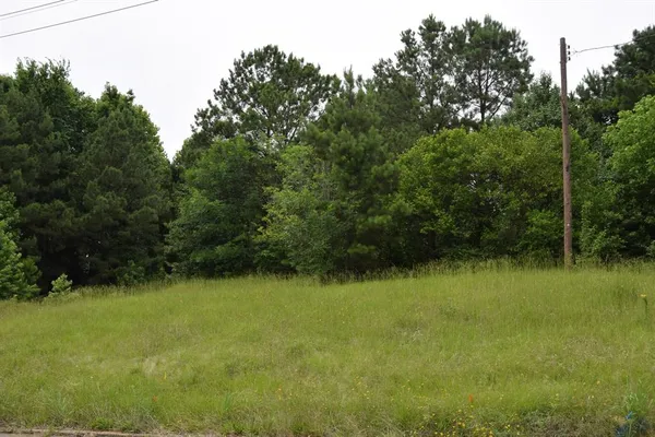 a view of a green yard