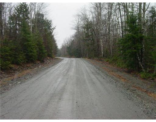 0 Parkman Hill Road Solon, ME 04979 - Photo 3 of 3 Land.