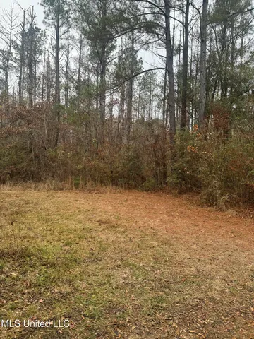 $114,000 | No No Parsons Road, McCall Creek, MS 39647