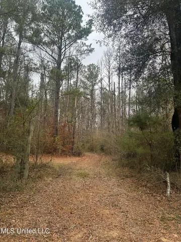 $114,000 | No No Parsons Road, McCall Creek, MS 39647