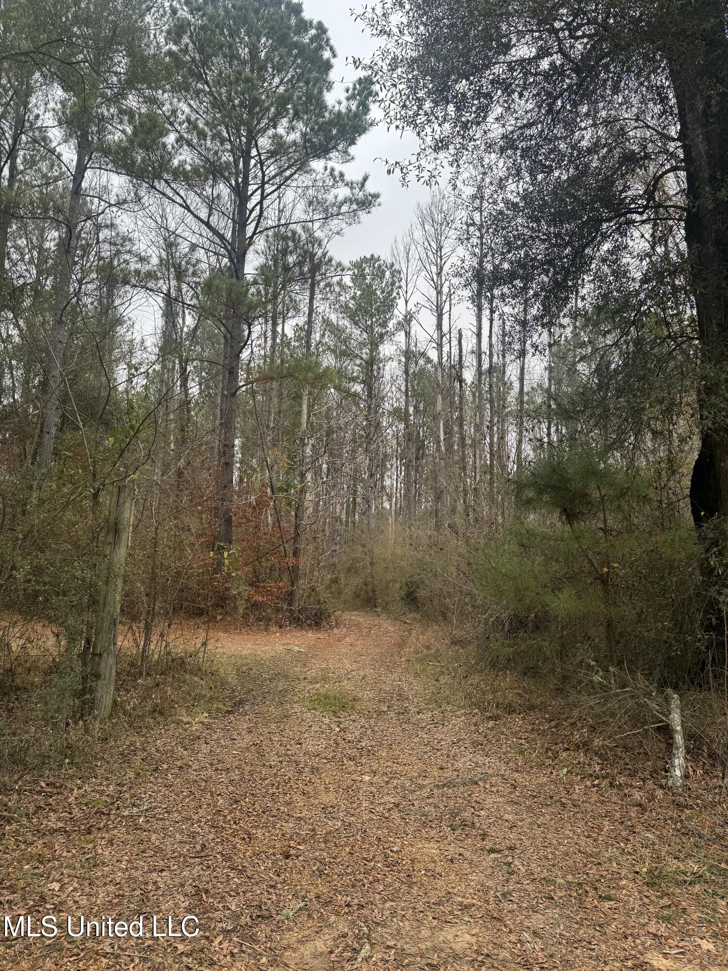 No No Parsons Road McCall Creek, MS 39647 - Photo 4 of 5 IMG_0307