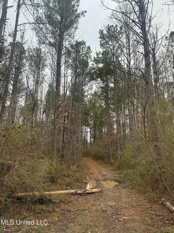 $114,000 | No No Parsons Road, McCall Creek, MS 39647