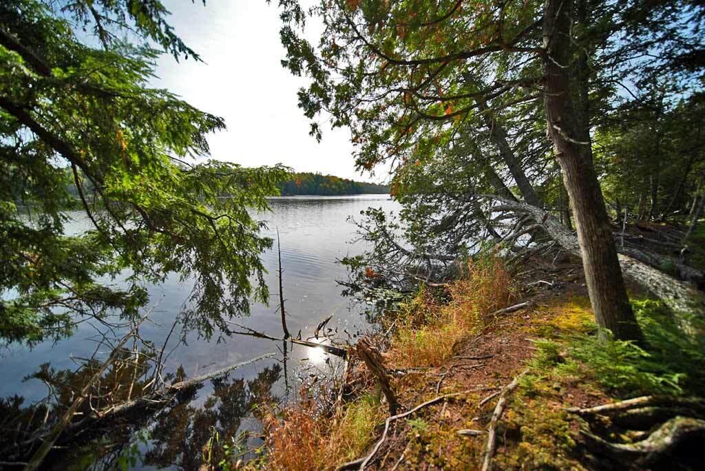 Lot 7-5 Off Currier Road Oakfield, ME 04763 - Photo 39 of 47 me-lake-shoreline