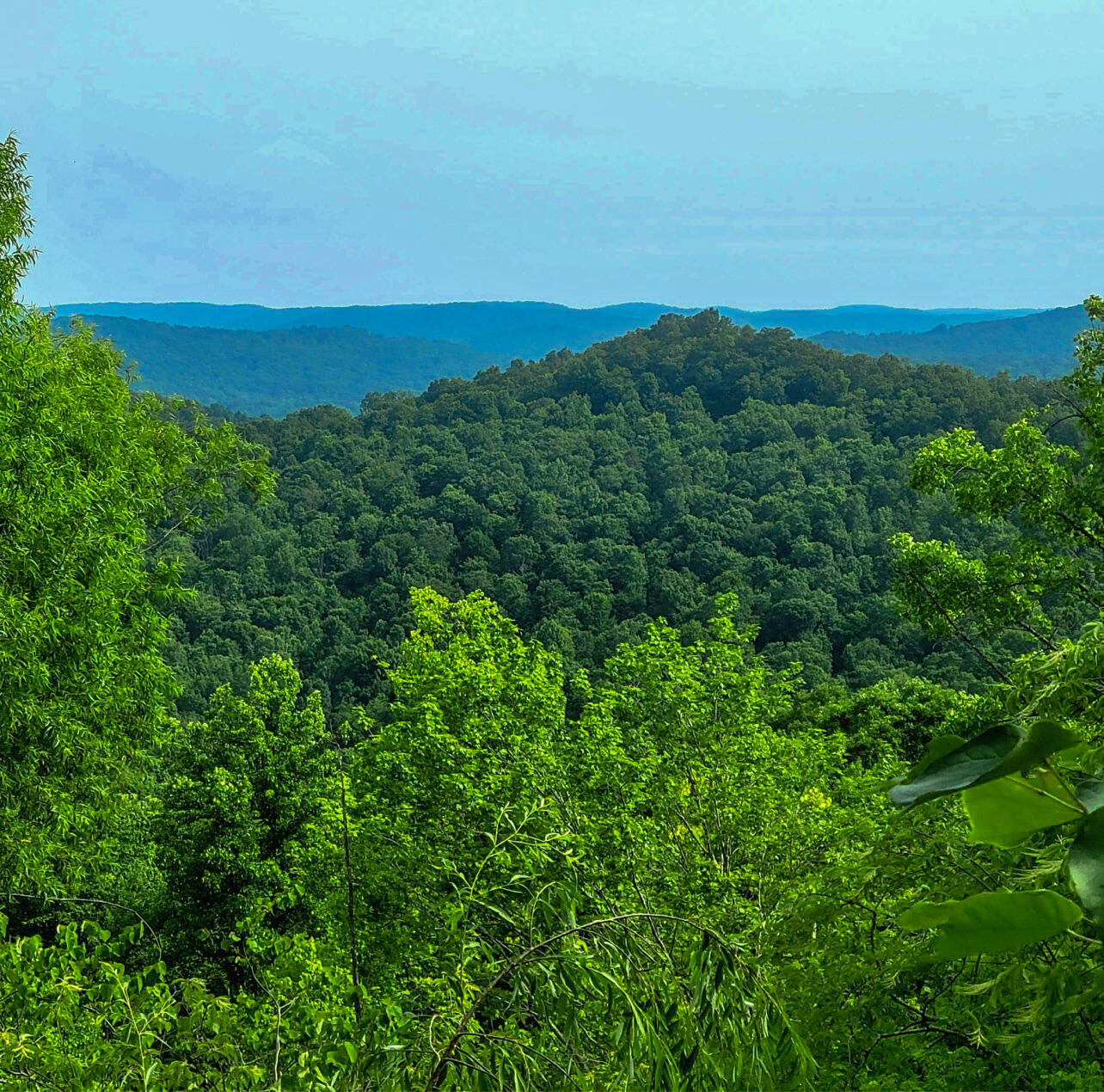 1701 Coopersville Ridge Road Monticello, KY 42633 - Photo 4 of 40 1755CE08-0B83-4107-8A63-7EDCD94FF3AE