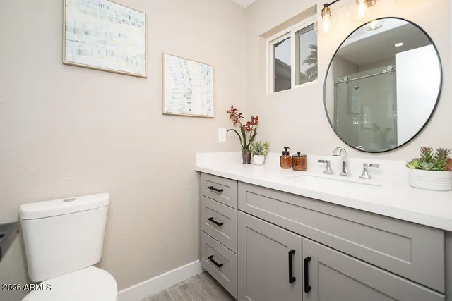 a bathroom with a toilet a sink and mirror
