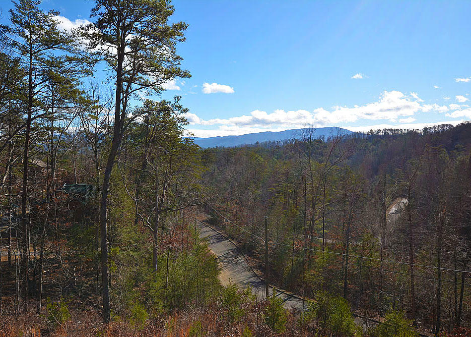1614 Bluff Ridge Road Sevierville, TN 37876 - Photo 2 of 36 B