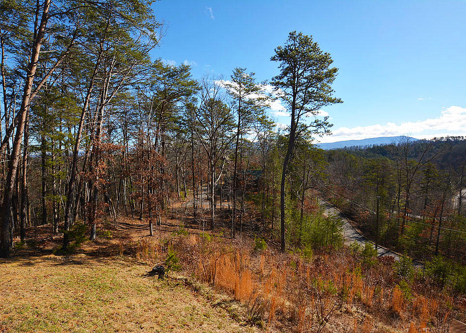 1614 Bluff Ridge Road Sevierville, TN 37876 - Photo 3 of 36 C