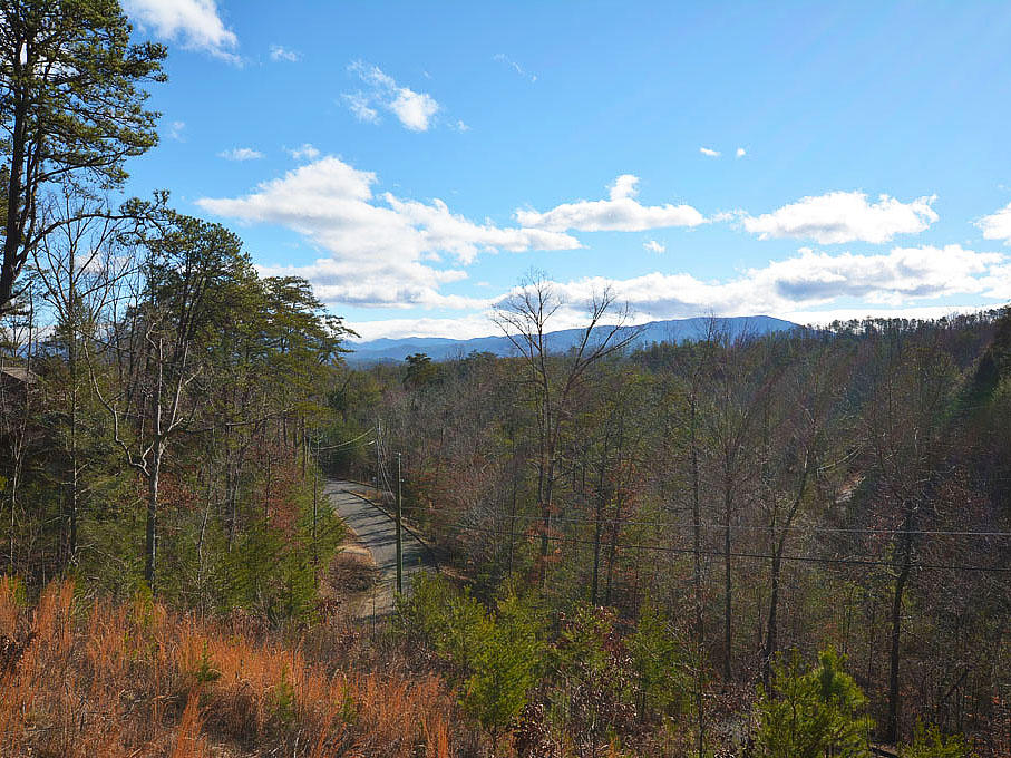 1614 Bluff Ridge Road Sevierville, TN 37876 - Photo 32 of 36 ZF