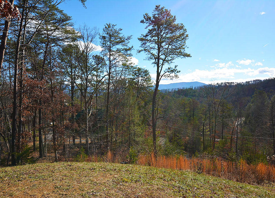 1614 Bluff Ridge Road Sevierville, TN 37876 - Photo 35 of 36 ZI