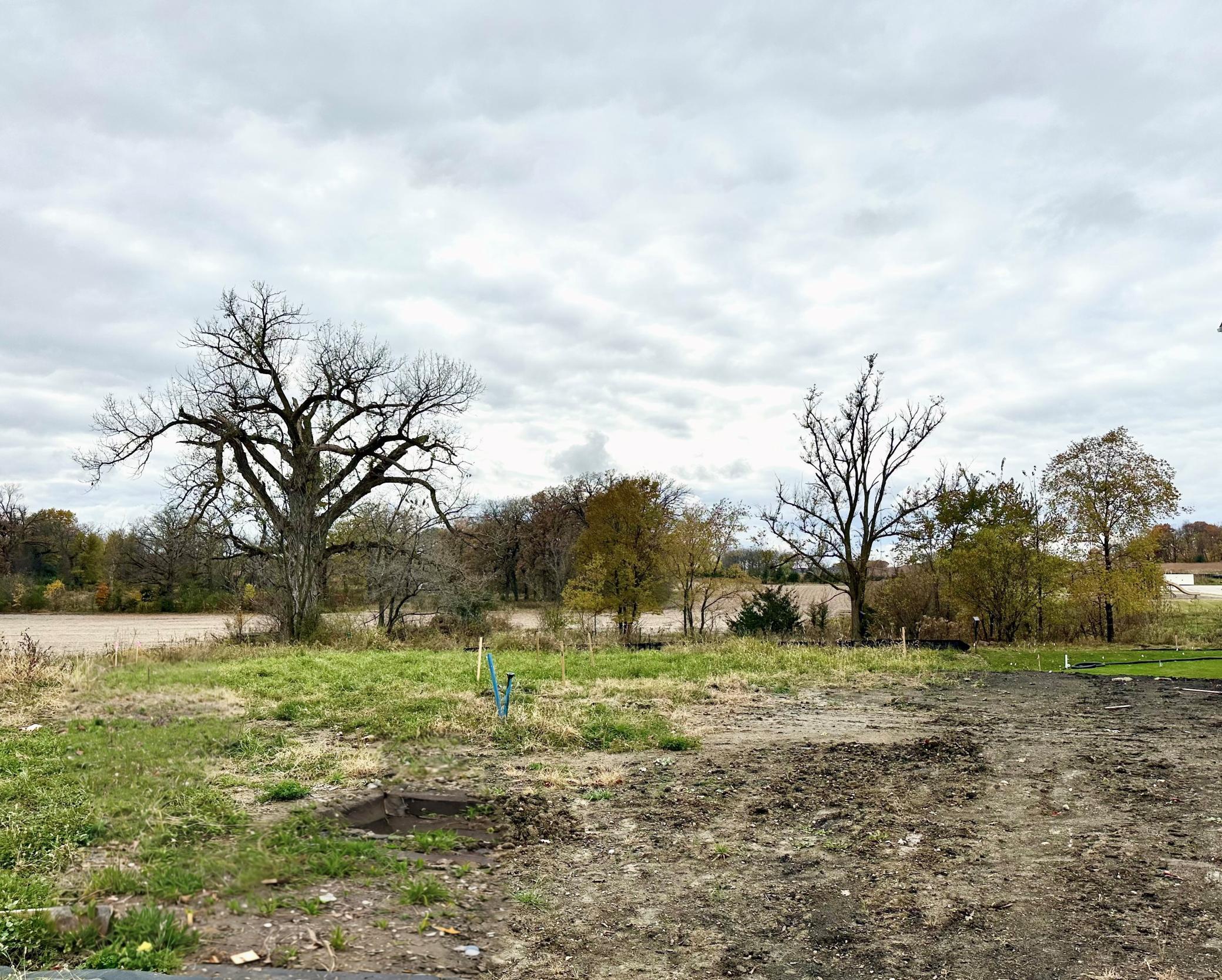 1513 Clover Preserve Way Chaska, MN 55318 - Photo 29 of 39