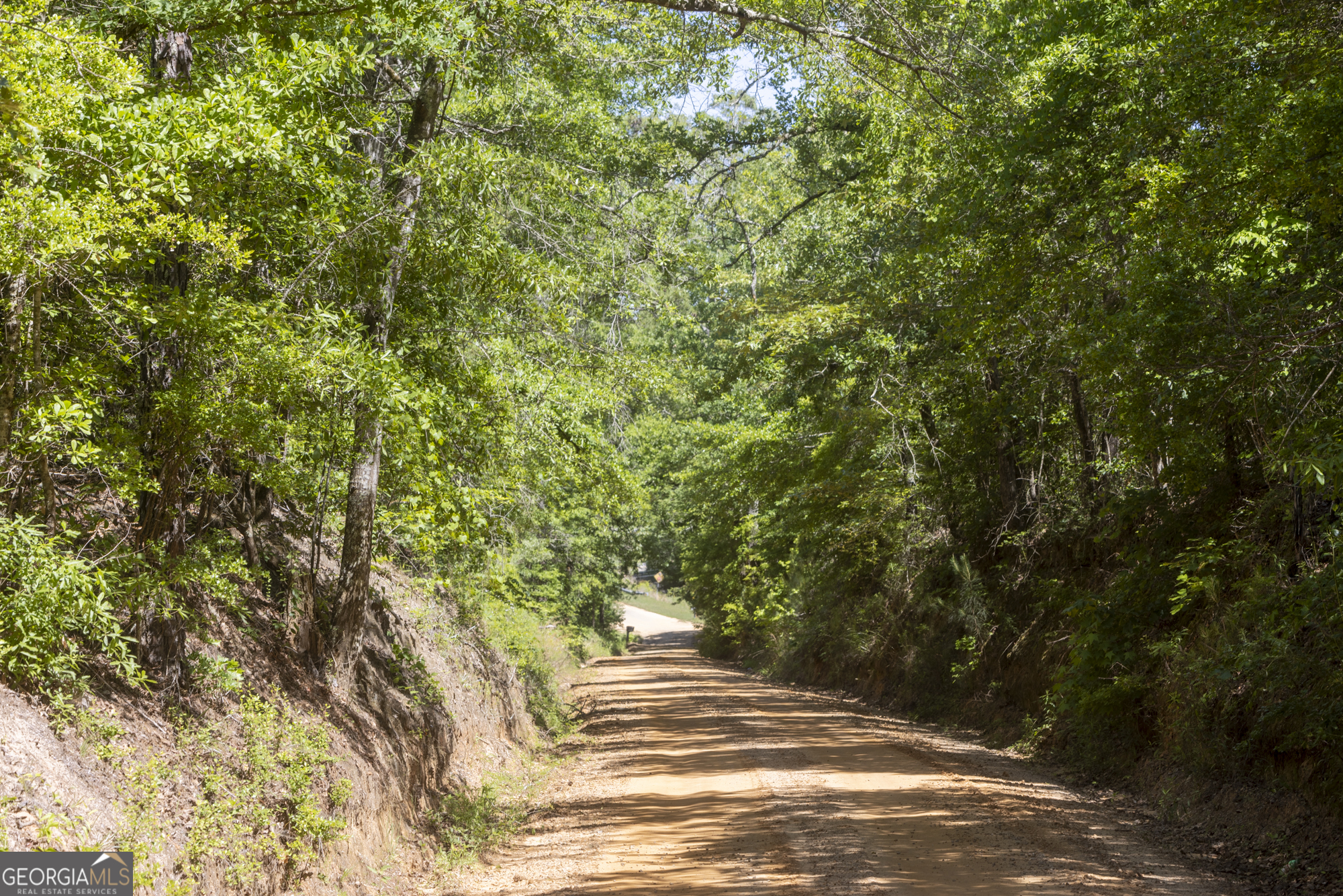 0 Old Griswoldville Road Macon, GA 31217 - Photo 42 of 62