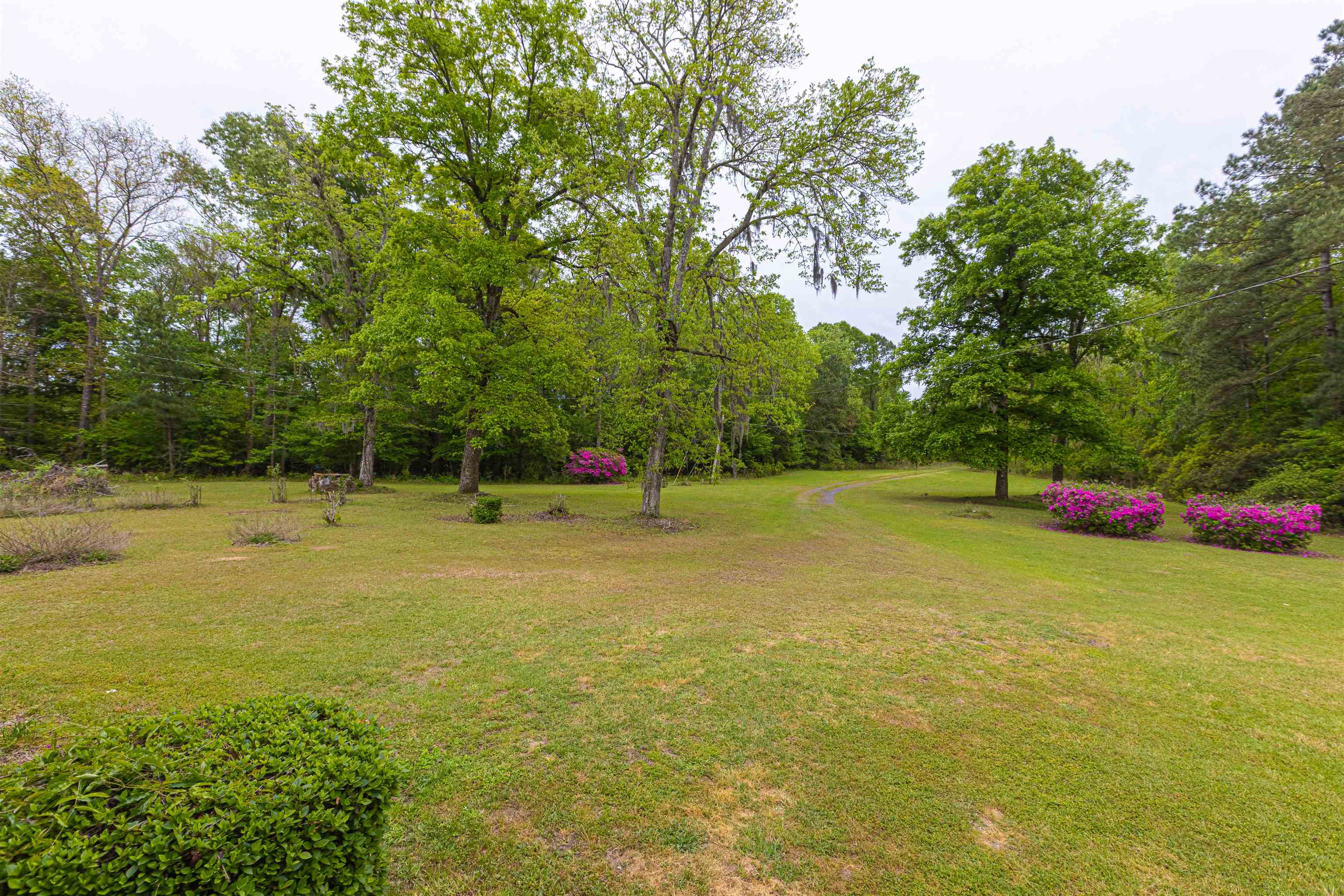 8946 Highmarket Street Georgetown, SC 29440 - Photo 41 of 70