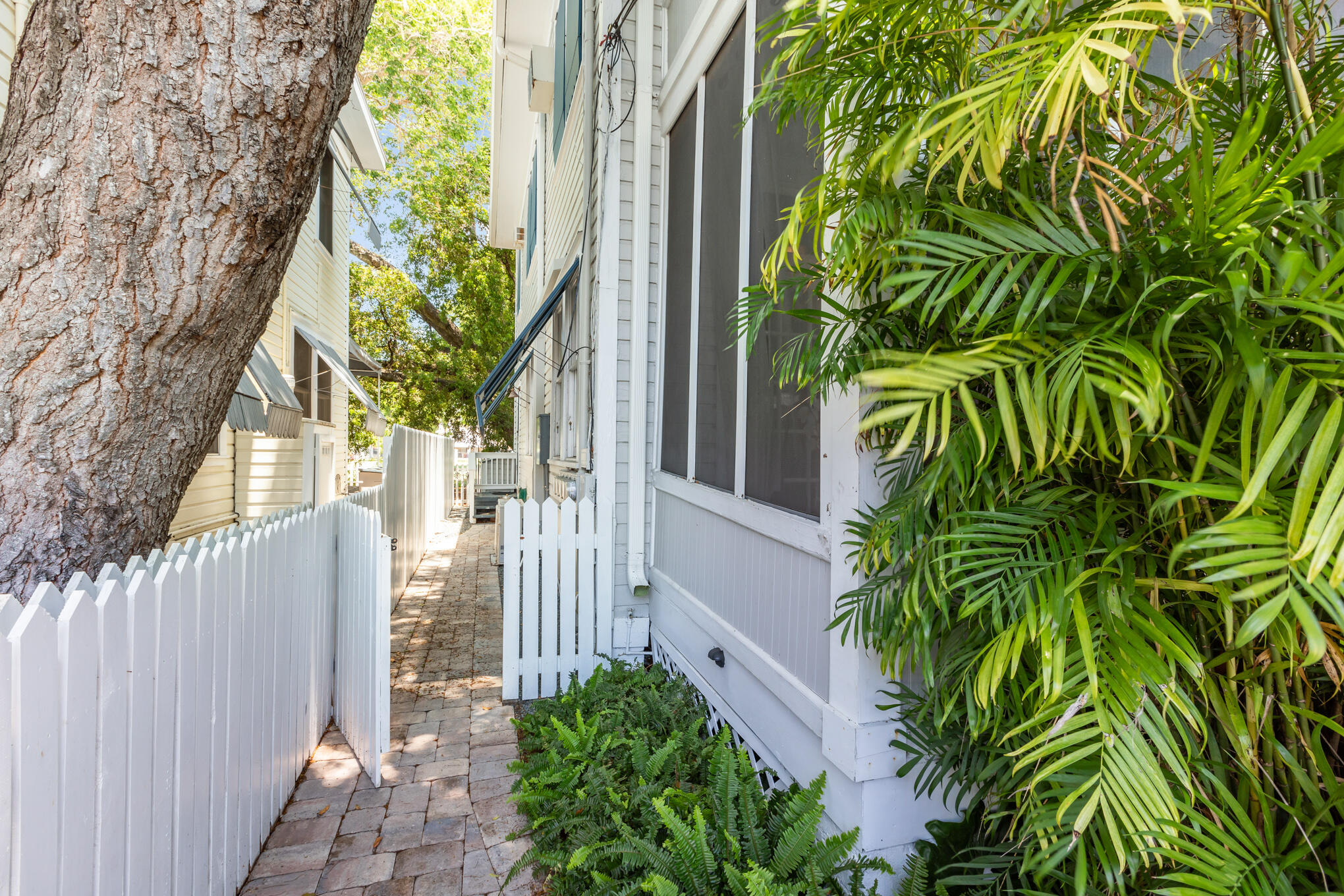 1203 Newton Street, Unit 1 Key West, FL 33040 - Photo 22 of 25 a view of a house with a tree