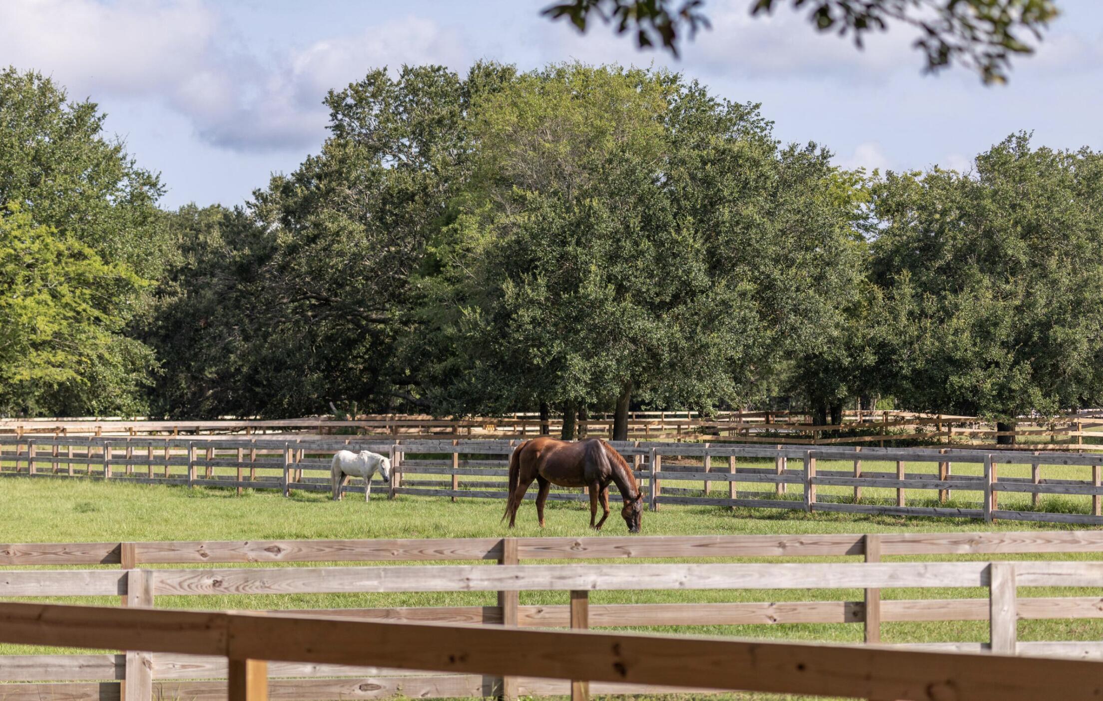 2431 Racquet Club Drive Seabrook Island, SC 29455 - Photo 78 of 80 SBI Equestrian