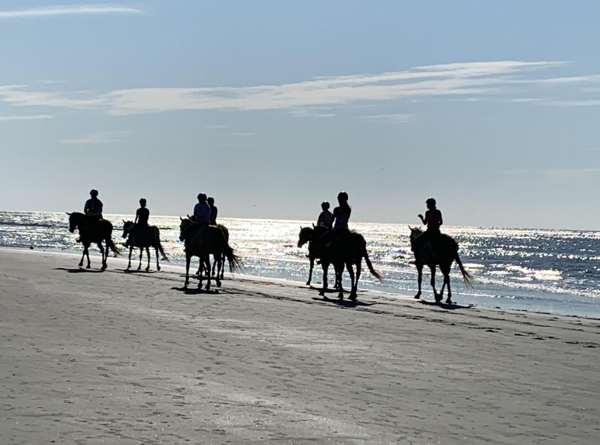 2431 Racquet Club Drive Seabrook Island, SC 29455 - Photo 79 of 80 Horses on the Beach SBI
