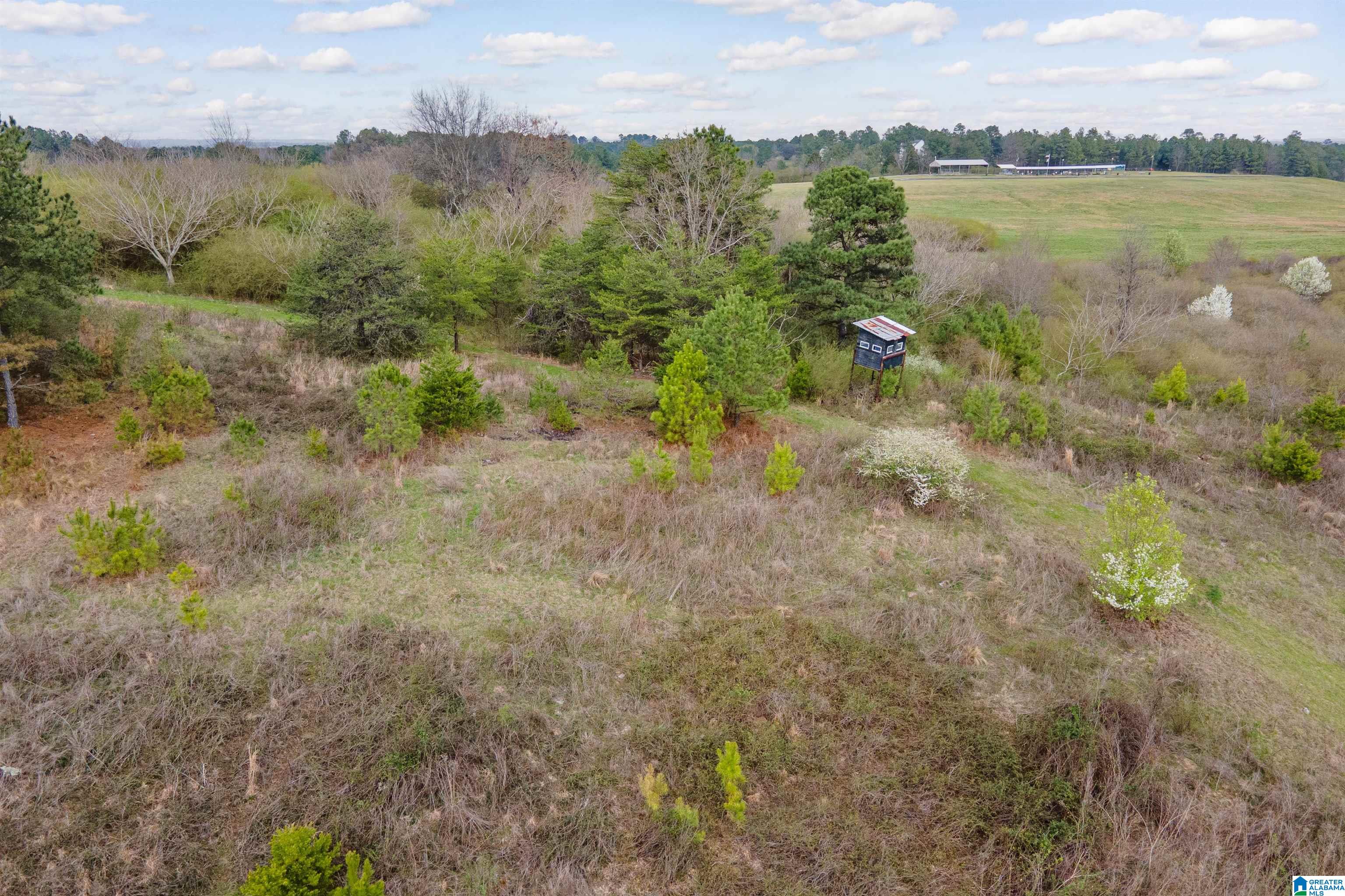 700 Sardis Road Gardendale, AL 35071 - Photo 15 of 16