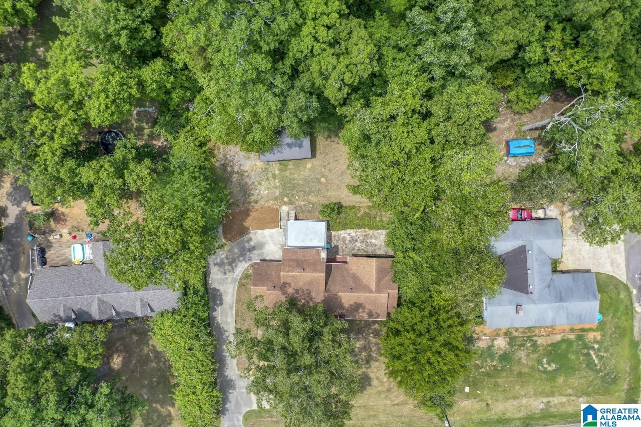 1202 Park Avenue Oneonta, AL 35121 - Photo 39 of 44