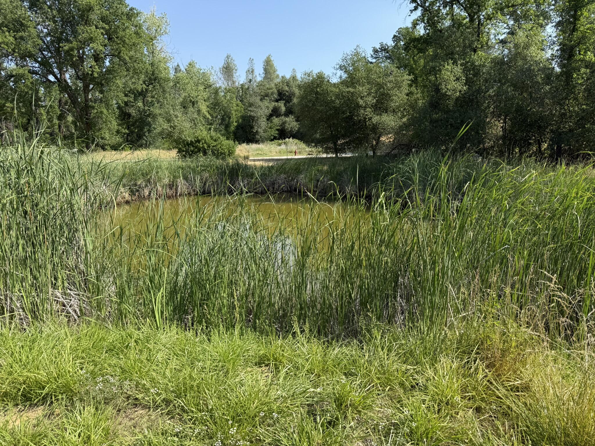 a view of a lake view with a garden