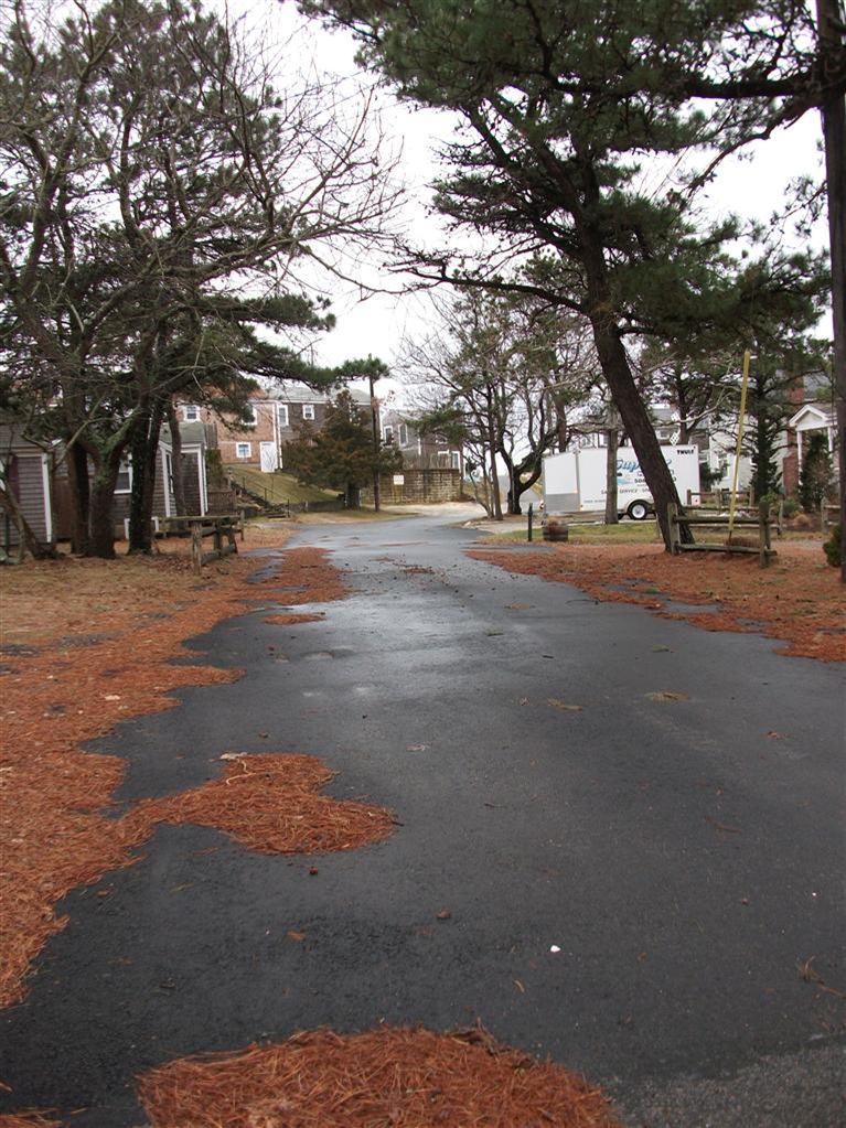 17 Beach Hills Road Dennis, MA 02639 - Photo 16 of 16 a view of road with large trees