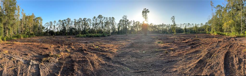 a view of a dry yard with trees in the background