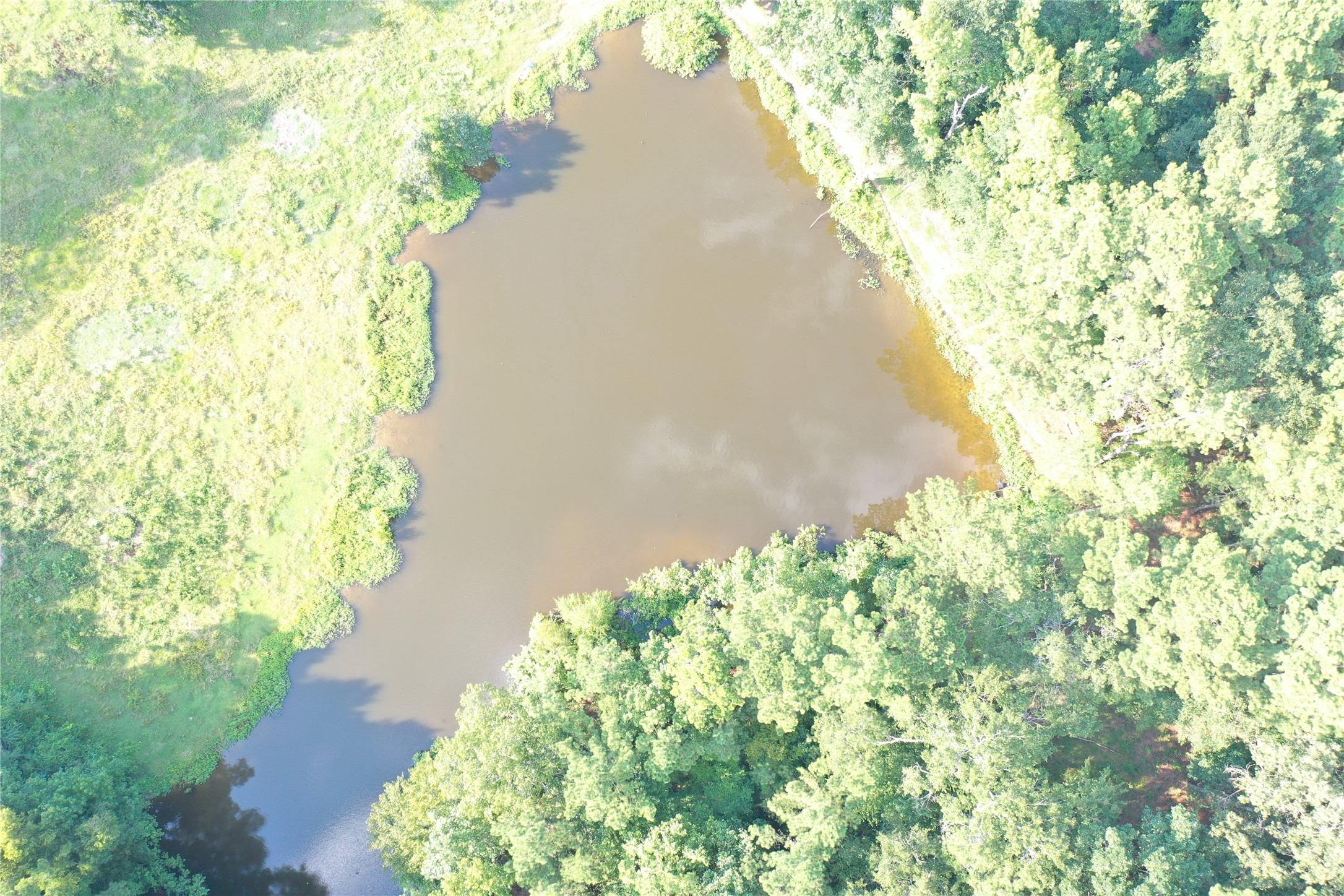 Tbd David Hon Road Livingston, TX 77351 - Photo 12 of 50 a view of a yard with plants