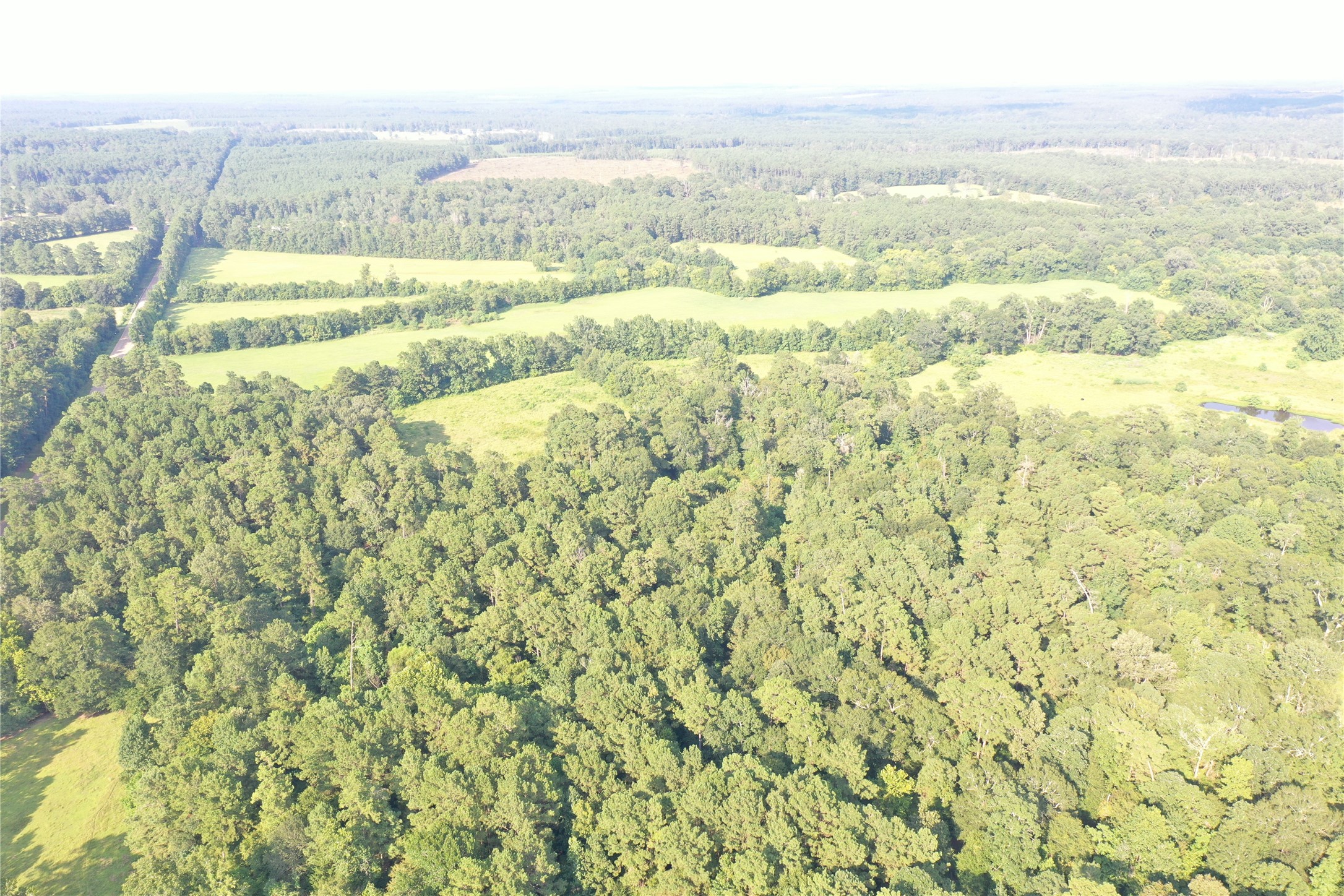 Tbd David Hon Road Livingston, TX 77351 - Photo 13 of 50 a view of an ocean