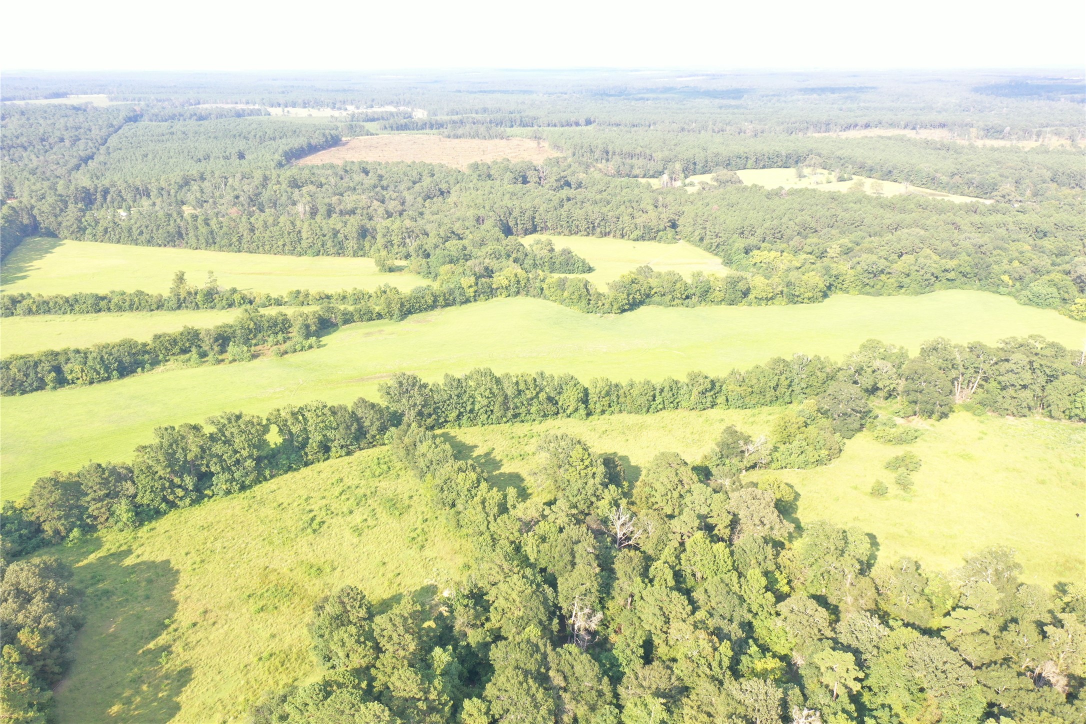 Tbd David Hon Road Livingston, TX 77351 - Photo 14 of 50 a view of an ocean
