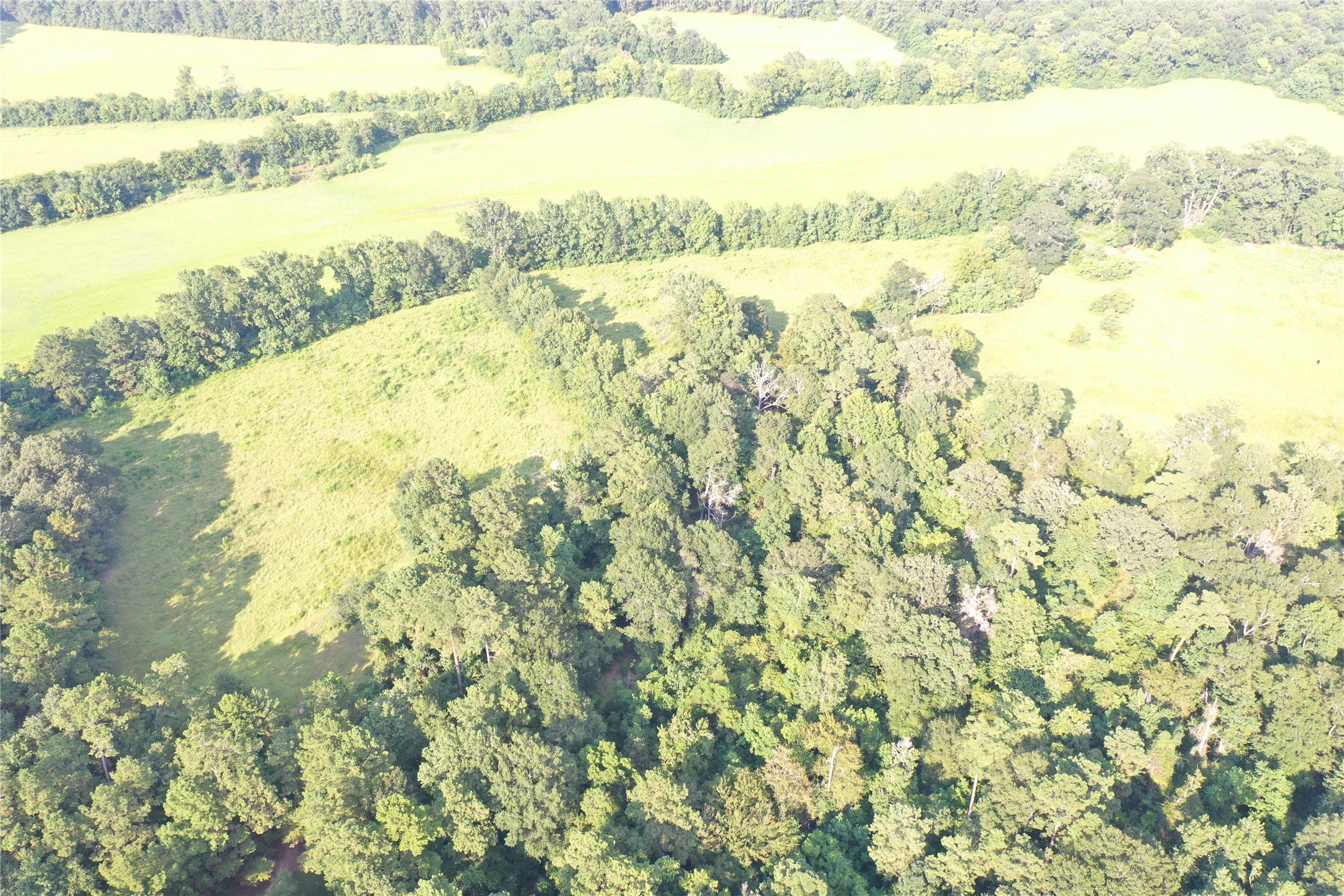 Tbd David Hon Road Livingston, TX 77351 - Photo 15 of 50 a view of ocean with green space