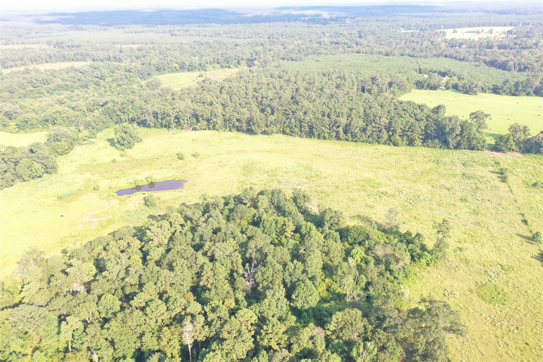 Tbd David Hon Road Livingston, TX 77351 - Photo 17 of 50 a view of ocean view