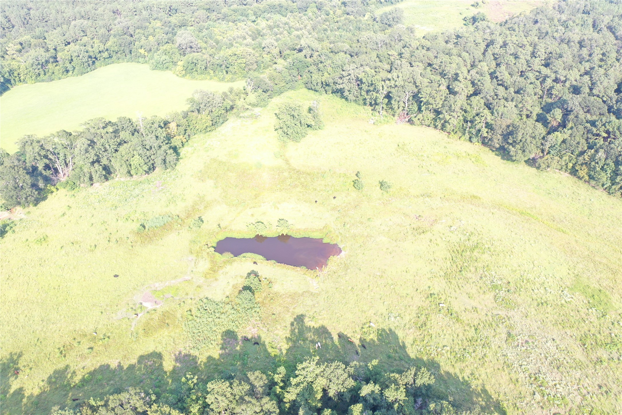 Tbd David Hon Road Livingston, TX 77351 - Photo 18 of 50 a view of beach and an ocean