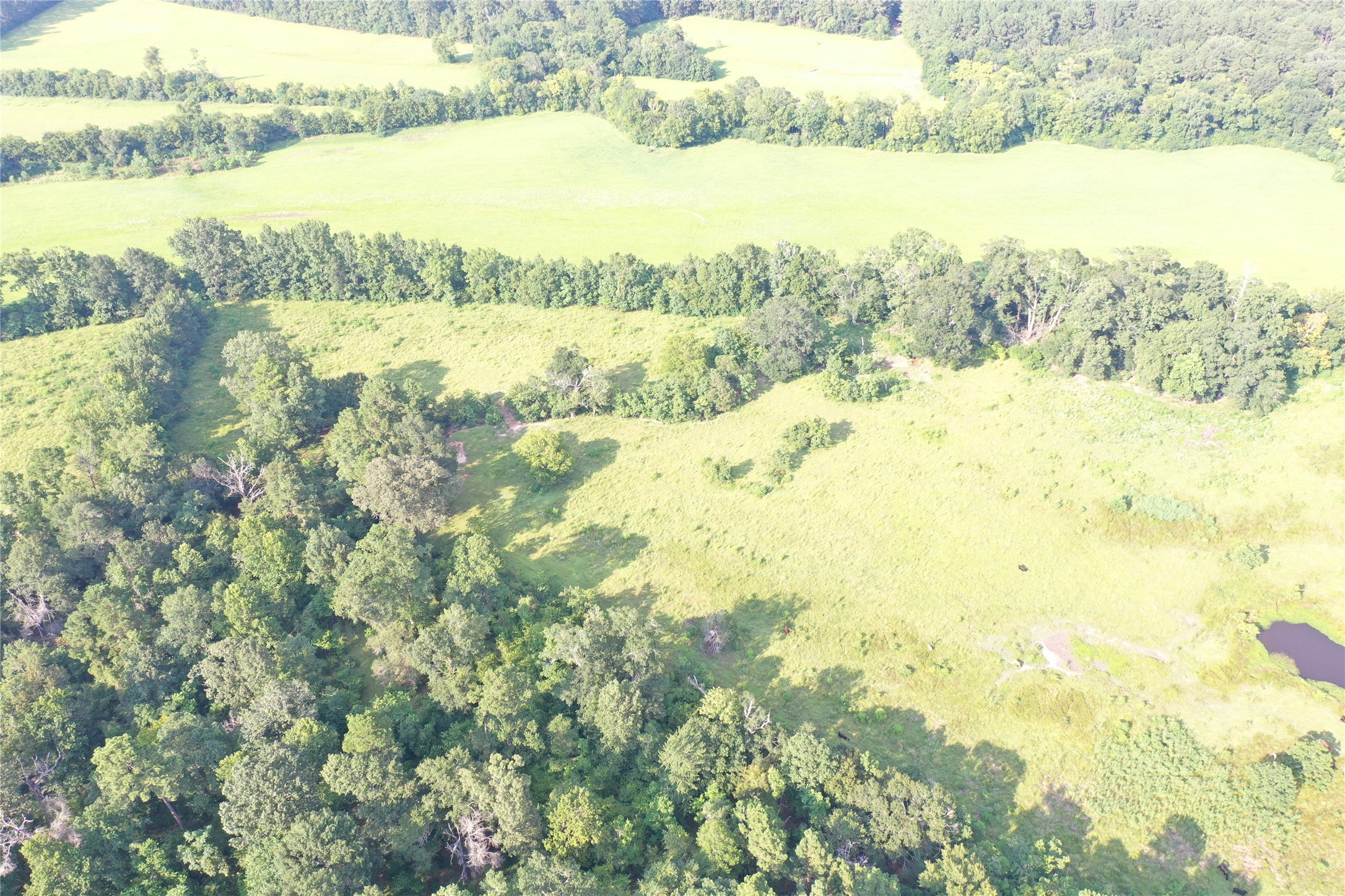 Tbd David Hon Road Livingston, TX 77351 - Photo 19 of 50 a view of ocean view with beach