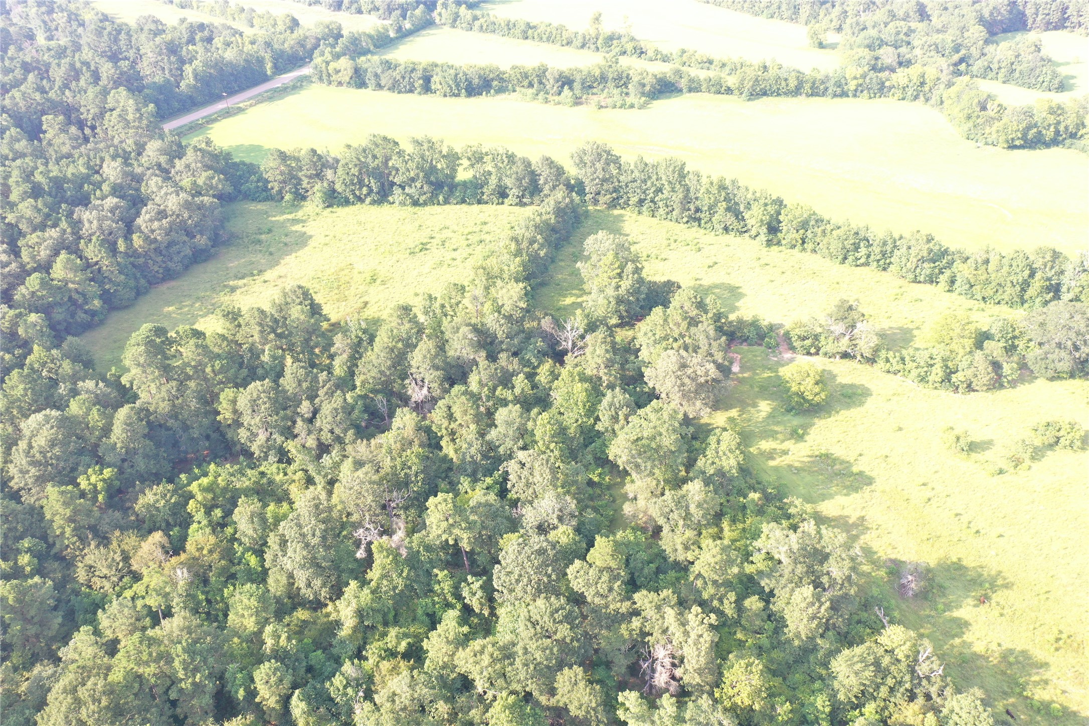 Tbd David Hon Road Livingston, TX 77351 - Photo 20 of 50